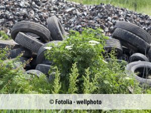 Illegale Müllbeseitigung wird für die Bürger von Rüsselsheim teuer