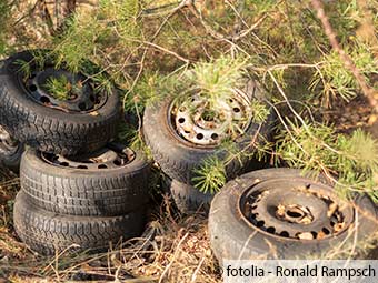 ZARE | Zertifizierte Altreifenentsorger | Illegale Müllablagerungen im Wald