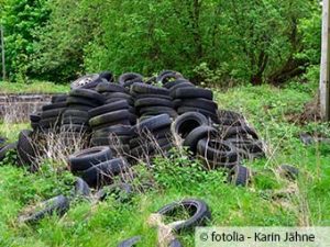 ZARE | Zertifizierte Altreifenentsorger | Illegales Reifenlager im Büchigwald entdeckt