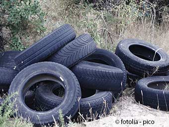 ZARE | Zertifizierte Altreifenentsorger | Im Wald mehr als 120 Reifen -illegal entsorgt