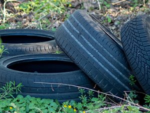 Umweltsünder entsorgen Reifen im Wald