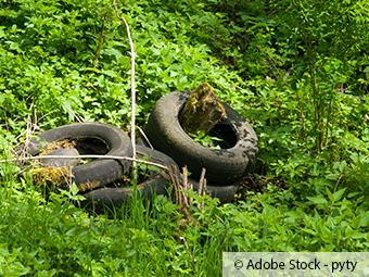 ZARE | Zertifizierte Altreifenentsorger | Gebüsch überflutet von Müllbergen