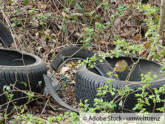 ZARE | Zertifizierte Altreifenentsorger | Miese Müllablagerung im Borgteicher Wald