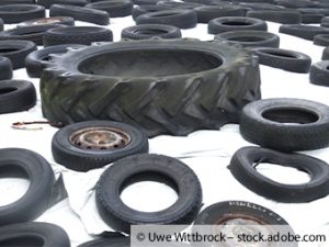NABU organisiert Reifen Sammler am Salzhaff