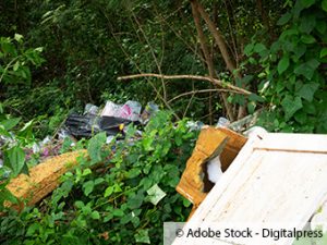 ZARE | Zertifizierte Altreifenentsorger | Wald wird zur illegalen Mülldeponie